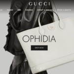 Gucci website design