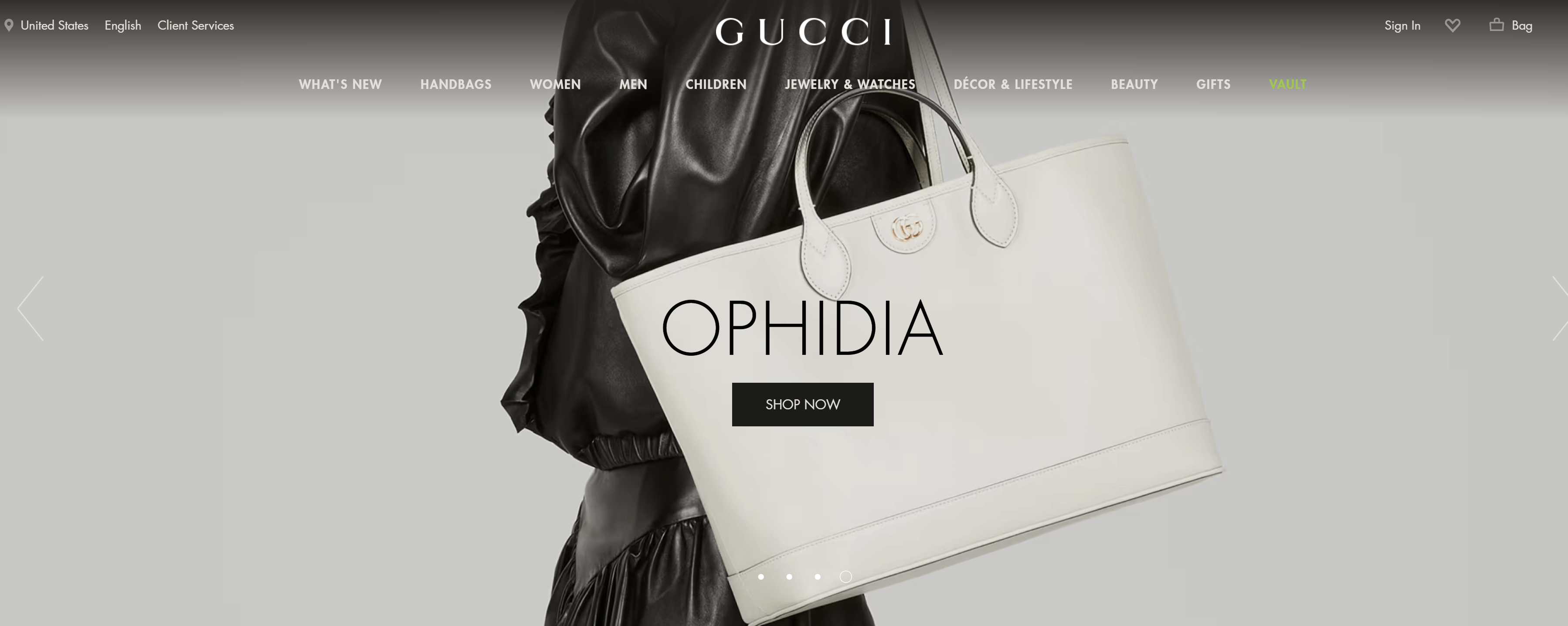 Gucci website design
